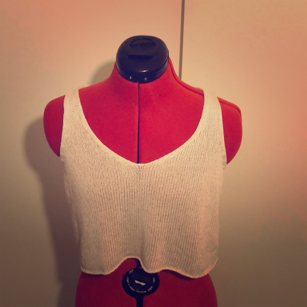 Brandy Melville Crop Top